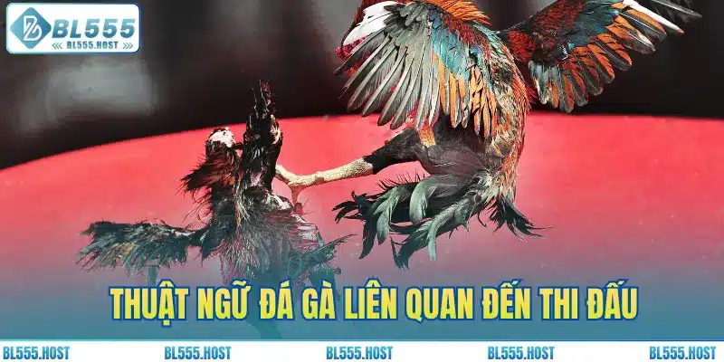Chia sẻ các khái niệm quan trọng liên quan đến quá trình thi đấu