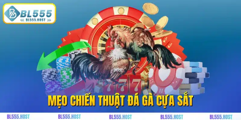Mẹo chiến thuật đá gà cựa sắt