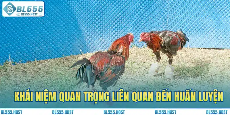 Những khái niệm quan trọng liên quan đến huấn luyện